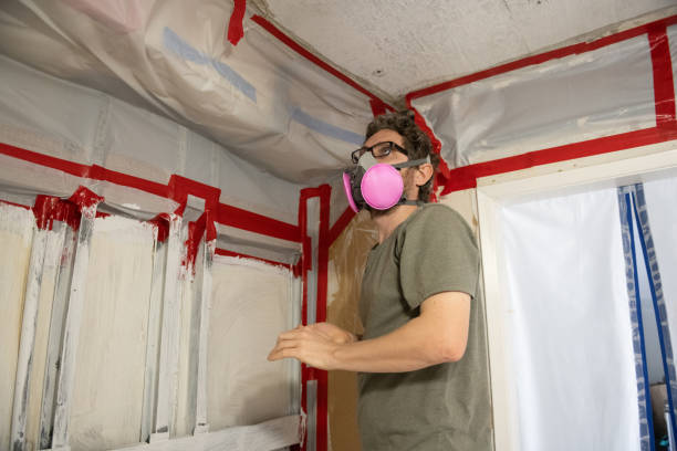 Best Basement Mold Removal  in North Mankato, MN